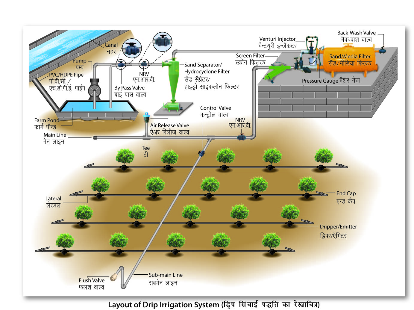 Sustainable Farming