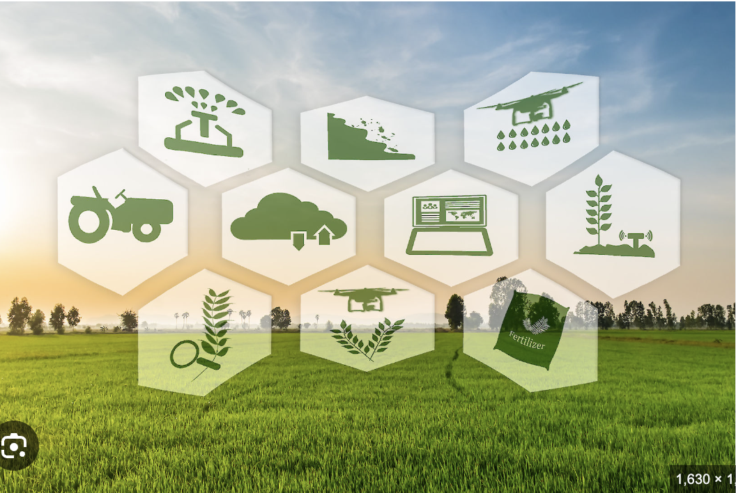 Sustainable Farming