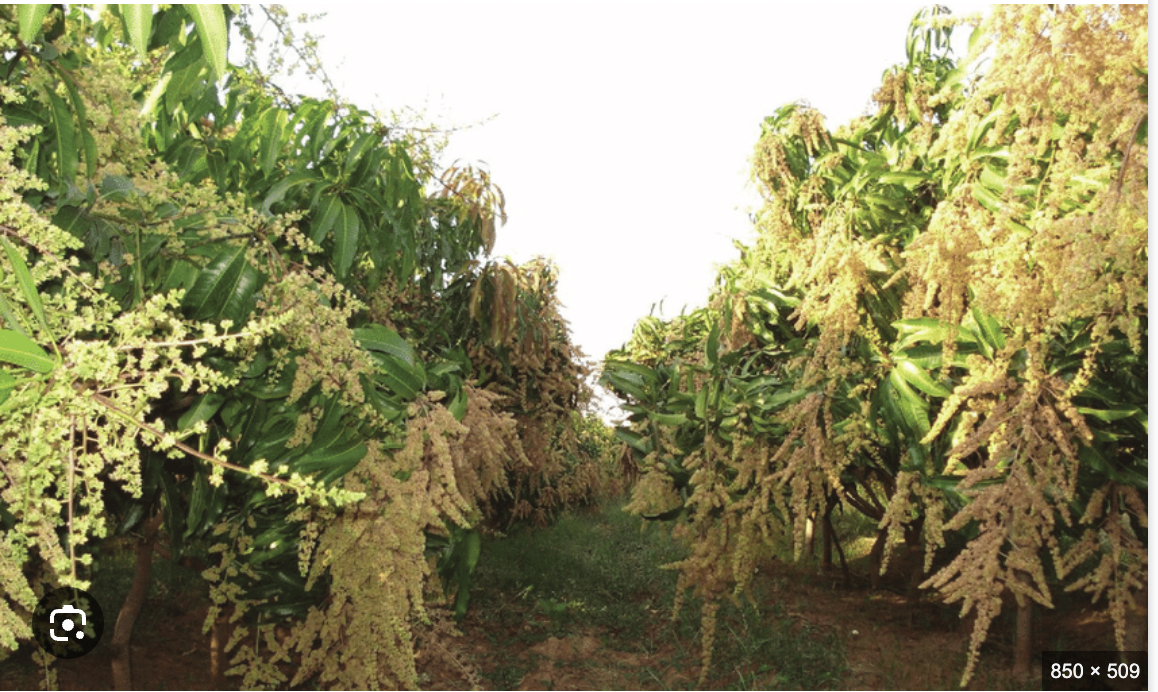 Sustainable Farming