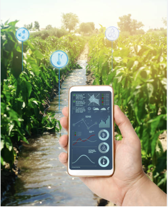 Sustainable Farming