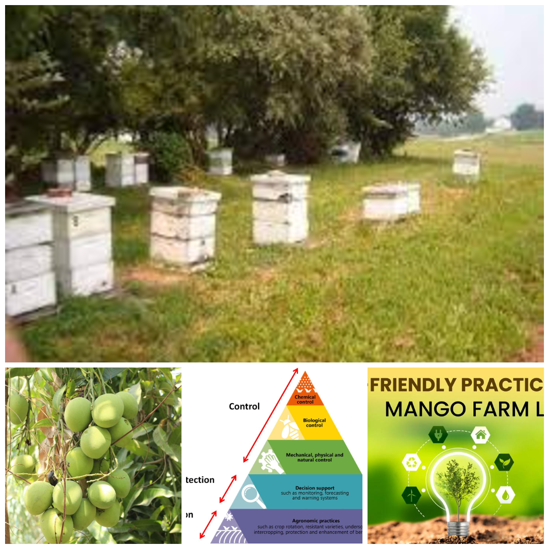 Sustainable Farming